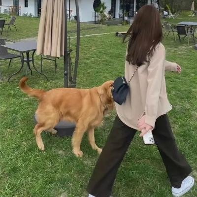 艾米·舒默皮革特辑