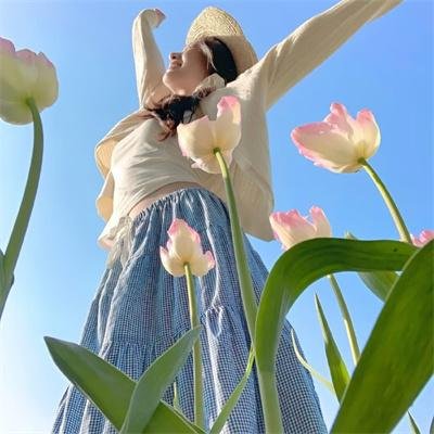 辛巴达历险