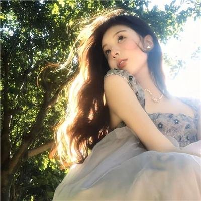 精灵守护者最终章